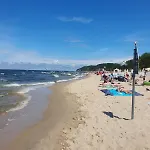Bolek * Kołczewo
