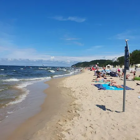 Bolek * Kołczewo