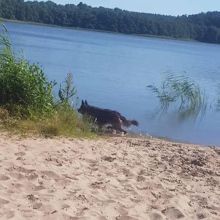 Bolek Prázdninový dům *
